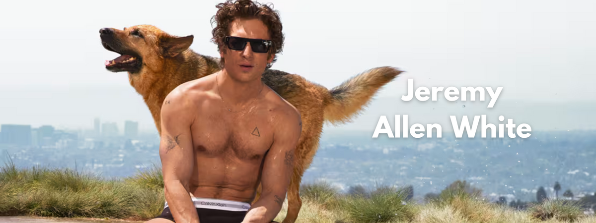 Jeremy Allen White Sunglasses Jeremy Allen White Sunglasses