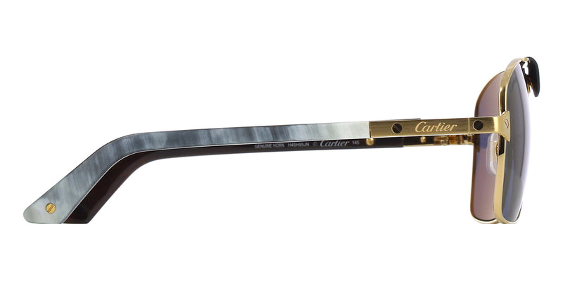 cartier-buffalo-horn-ct0389s-