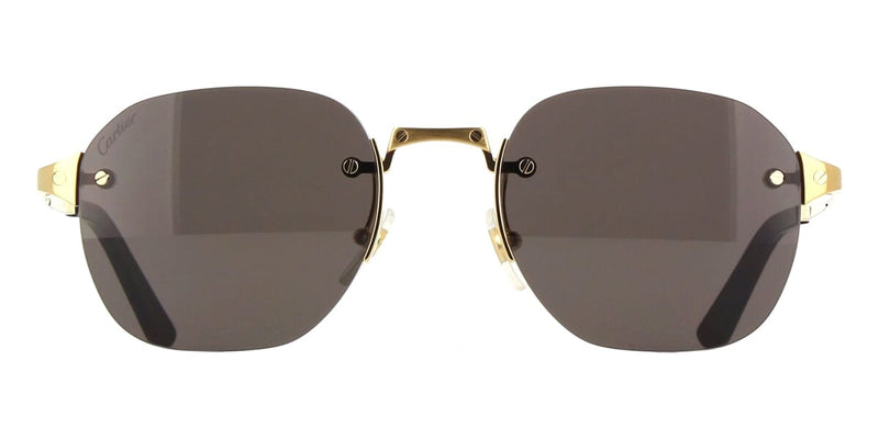 【最終値下げ】Cartier sunglasses Cartier CT0459S 001 / 005 Sunglasses - US