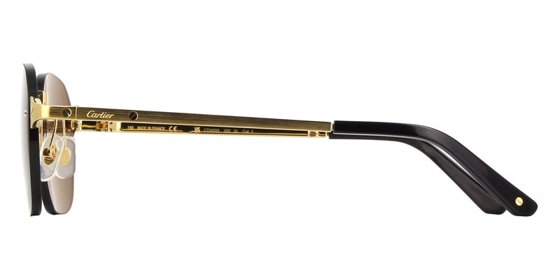 専用Cartier Cartier CT0459S 001 / 005 Sunglasses - US