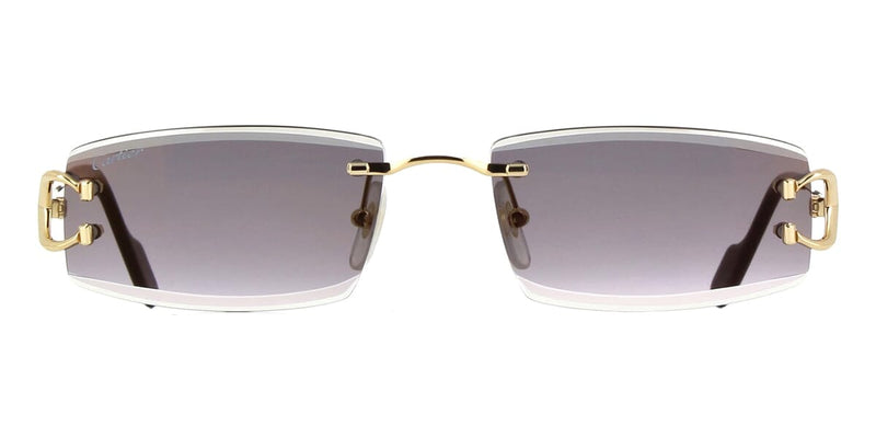 Cartier CT0465S 001 Sunglasses - US
