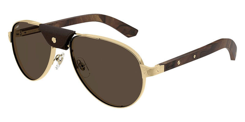 Cartier CT0495S 004 polarised Sunglasses - US display picture 1