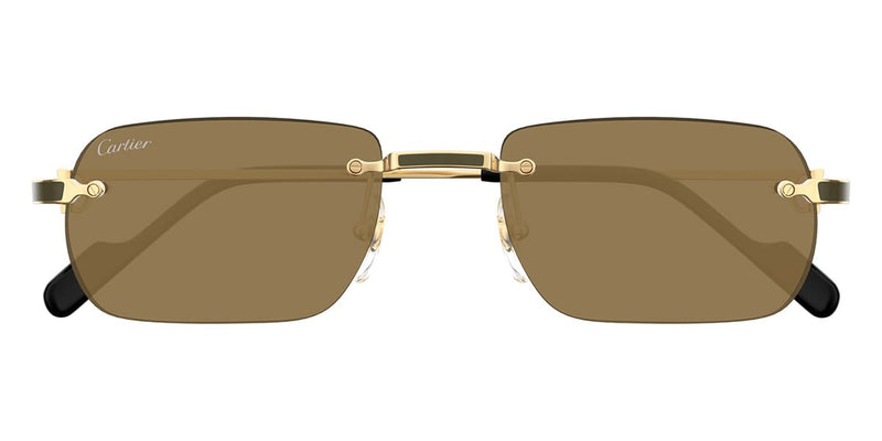 cartier-ct0498s-005-hd-2_800x.