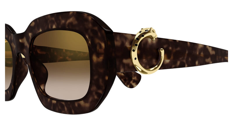 cartier-ct0546s-002-hd-3_800x.