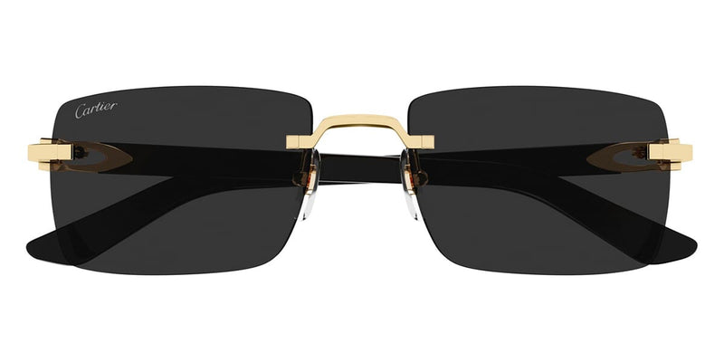 cartier-ct0579s-001-hd-2_800x.
