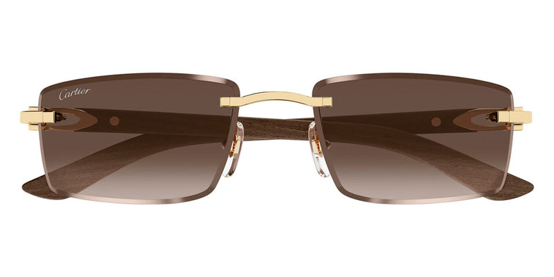 cartier-ct0582s-003-hd-2_800x.