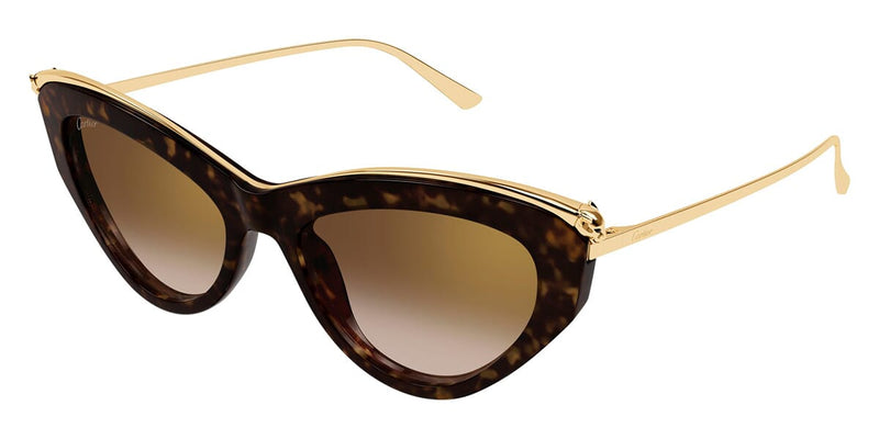 cartier-ct0596s-002-hd-1_800x.