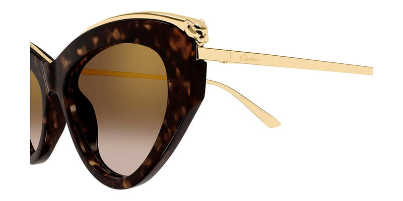 Cartier CT0596S 002 Sunglasses - US display picture 1