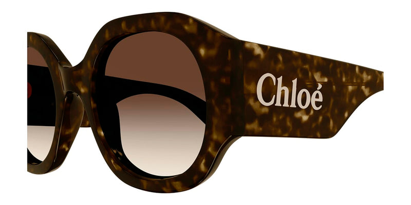 Chloe CH0234S 002 Sunglasses - US