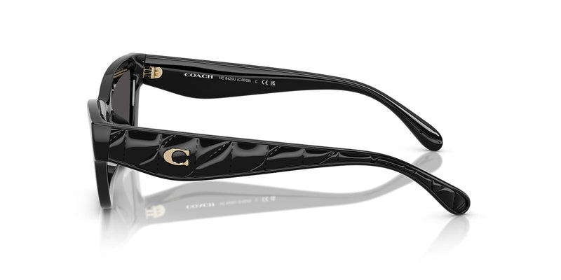 Coach Cad28 HC8420U 5002/87 Sunglasses - US