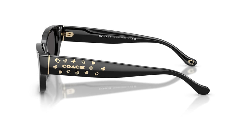 Coach CBZ52 HC8439U 5002/87 Sunglasses - US display picture 3