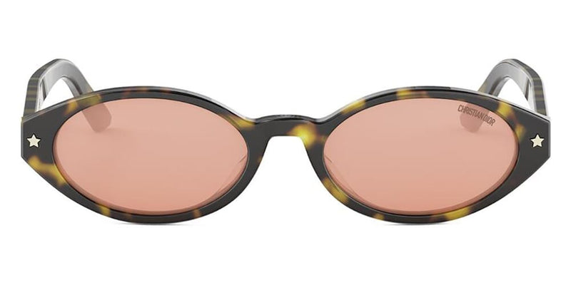 DiorPacific R1I 20L0 Sunglasses - US