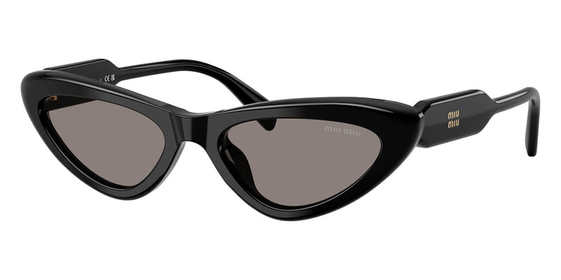 Miu Miu MU B11SU 16K80Q Sunglasses - US