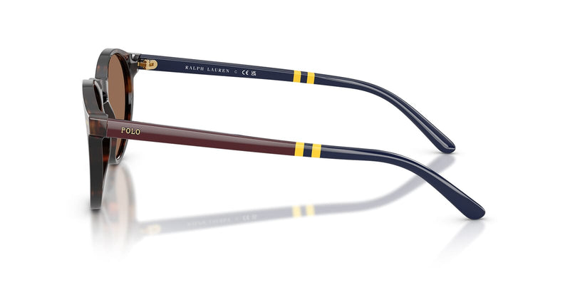 Polo Ralph Lauren PH4236 5003/73 Sunglasses - US