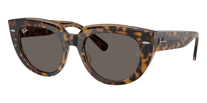 Ray-Ban RB9229 B1 FRANK