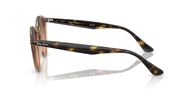 ray-ban-rb-2180-678846-hd-