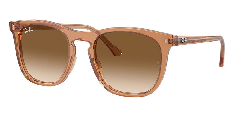 Ray Ban べっこう柄 ray-ban-rb-2210-676451-hd-