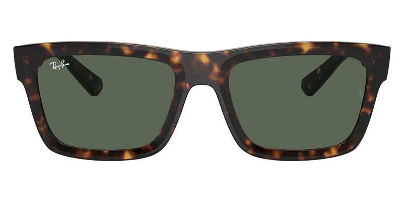 ray-ban-warren-rb-4396-135971-