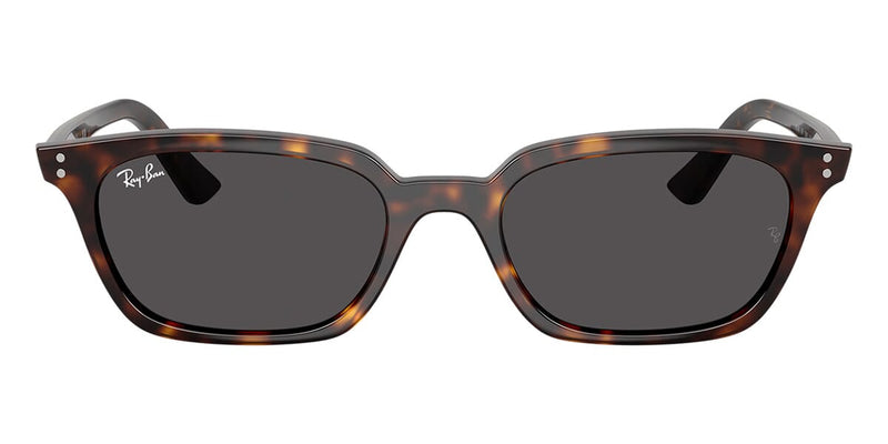 ray-ban-zaya-rb-4456-135987-hd