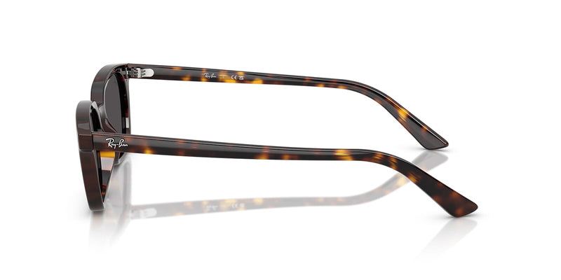 Ray-Ban Zaya RB 4456 1359/87 Sunglasses - US