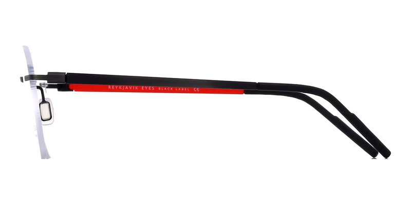 Reykjavik Eyes Black Label Tekla C2 Glasses - US