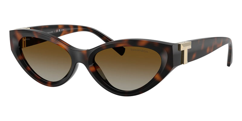 Tiffany & Co TF4225U 8015/T5 Polarised Sunglasses - US