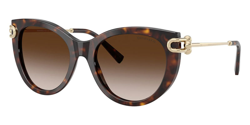 Tiffany & Co TF4232 8015/3B Sunglasses - US