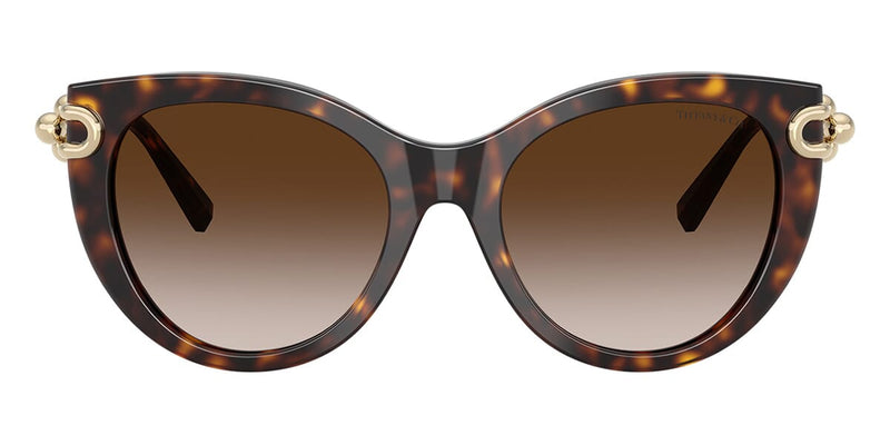 Tiffany & Co TF4232 8015/3B Sunglasses - US