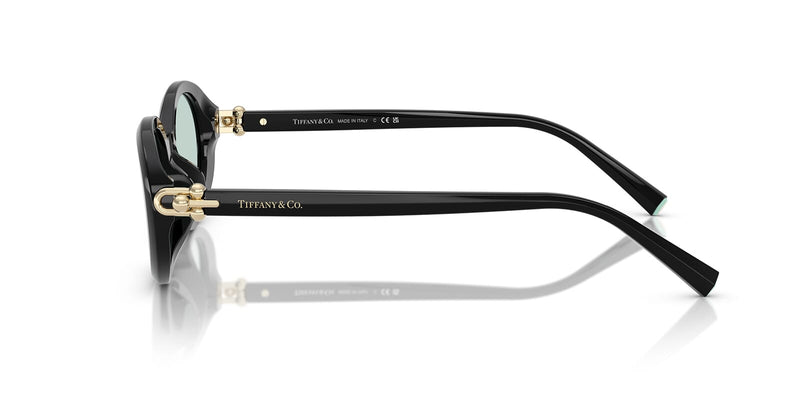 Tiffany & Co TF4242D 8001/D9 Sunglasses - US