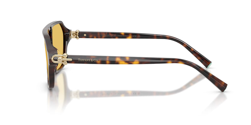 Tiffany & Co TF4264U 8015/85 Sunglasses - US