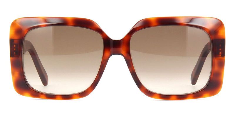 celine-cl40096i-55f-hd-2_800x.