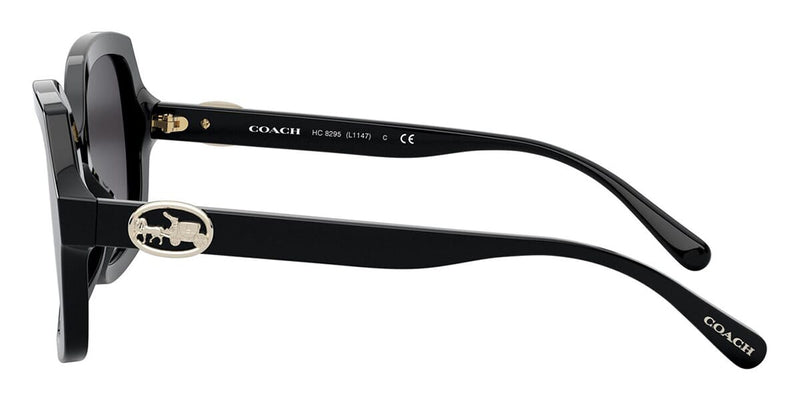 Coach eyewear outlet manufacturer