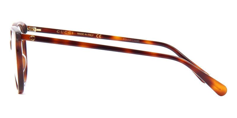 Tortoiseshell Glasses in Brown - Gucci