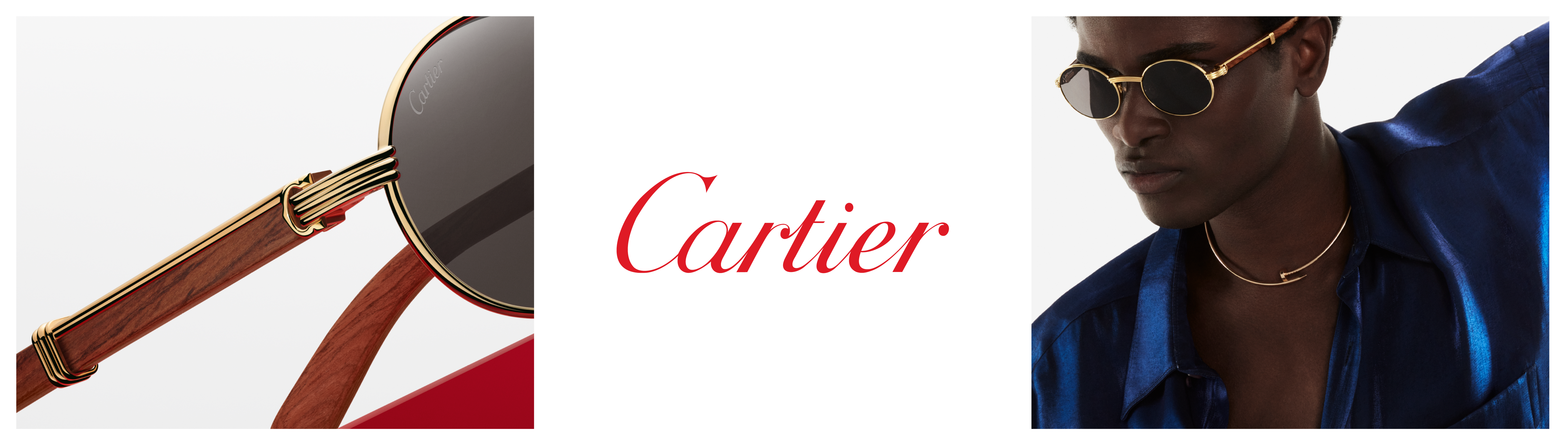 Cartier CT 0290O | Mott Optical Group