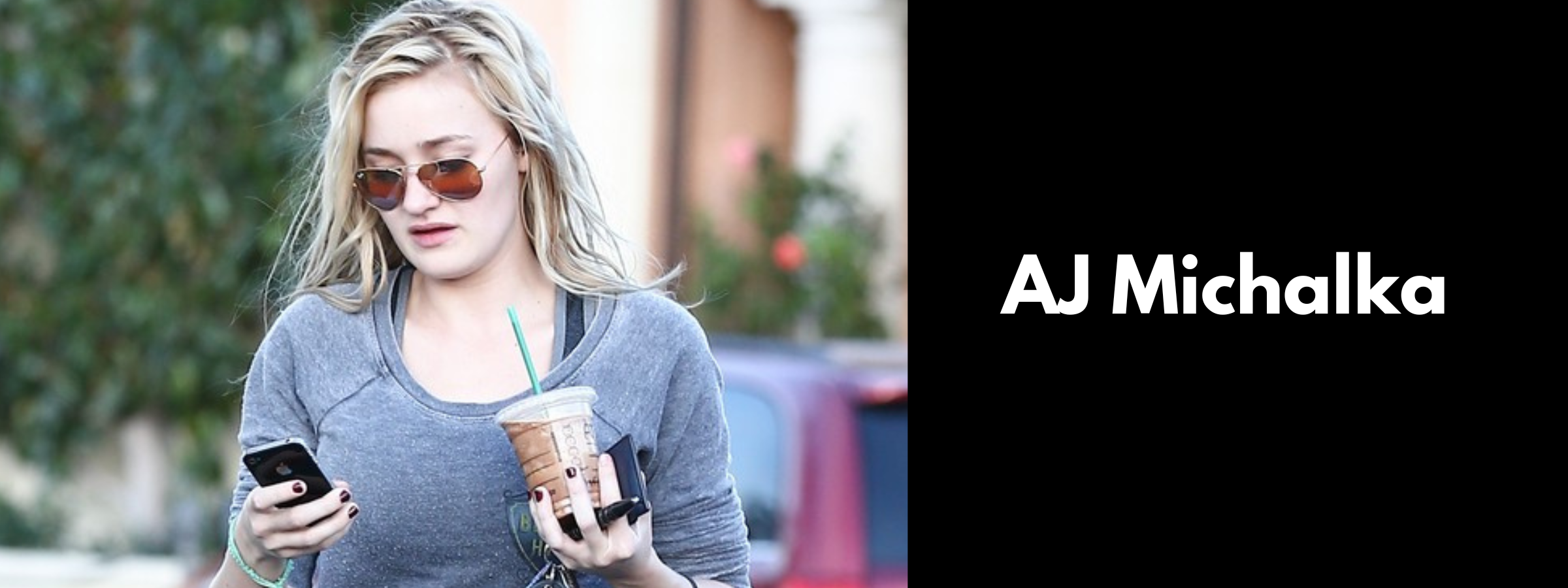 AJ Michalka Sunglasses