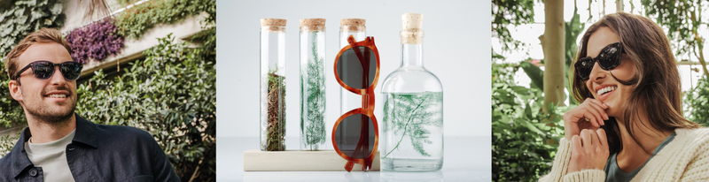 botaniq sunglasses banner