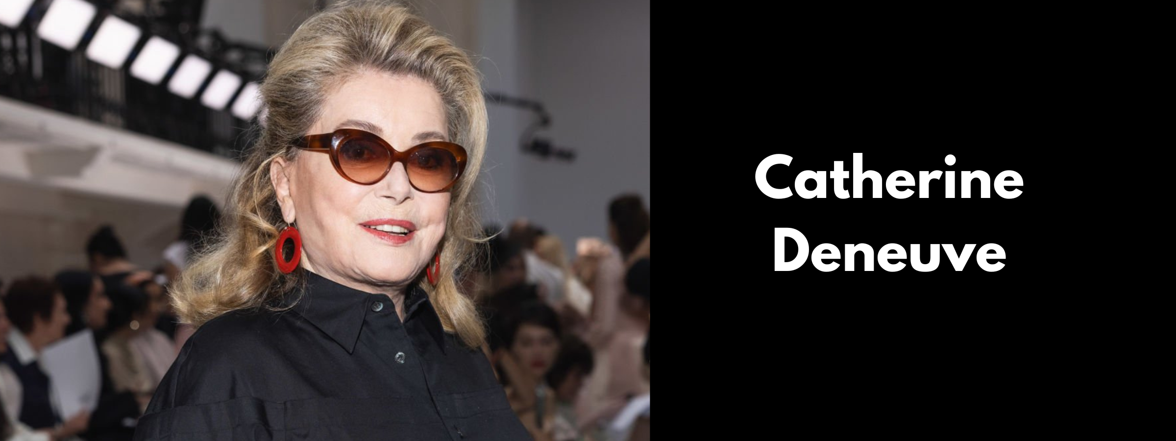 Catherine Deneuve Sunglasses