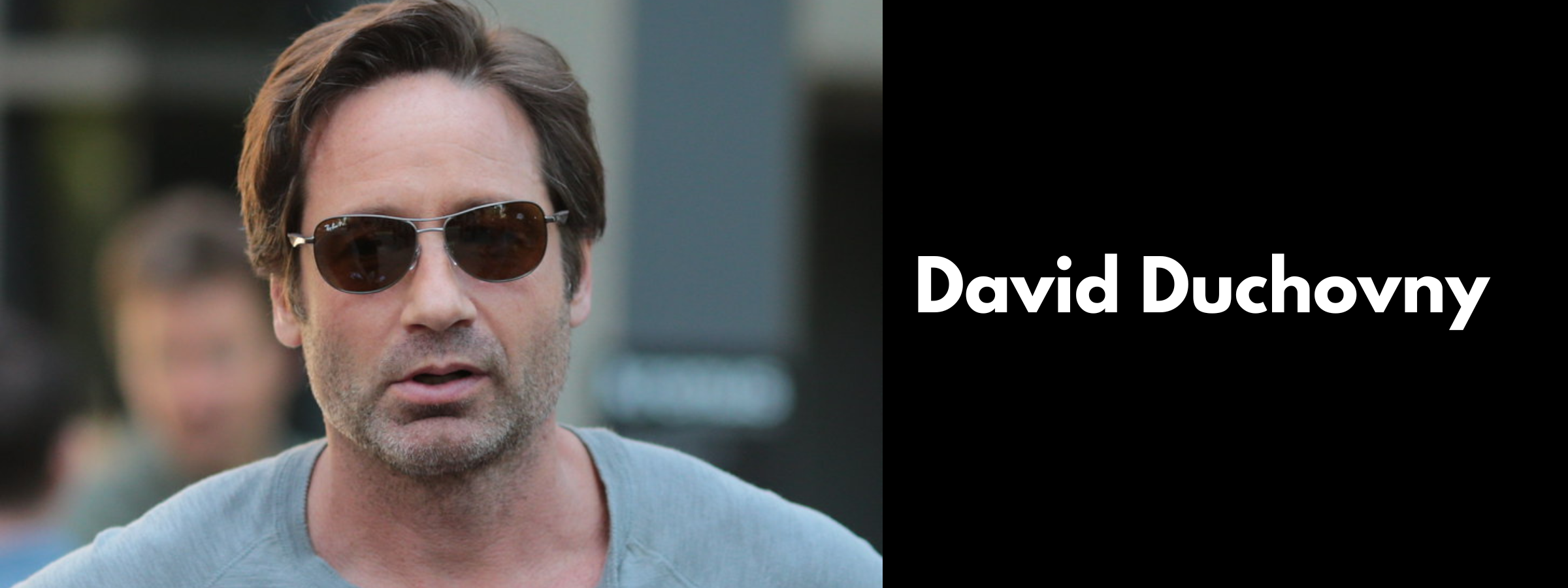 David Duchovny Sunglasses