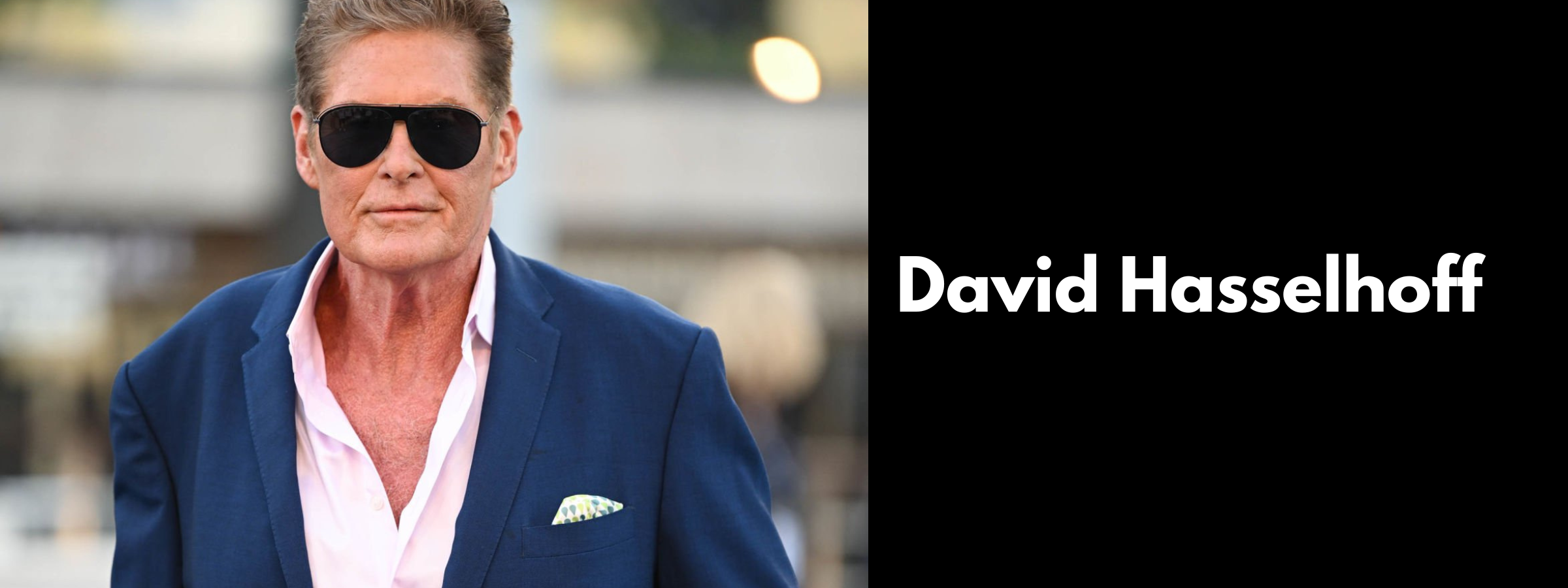 David Hasselhoff Sunglasses