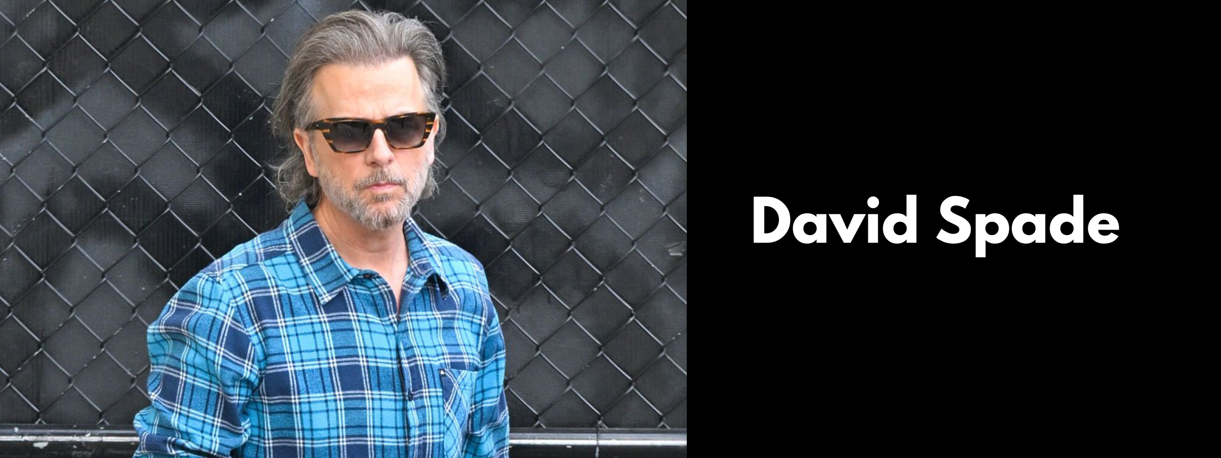 David Spade Sunglasses