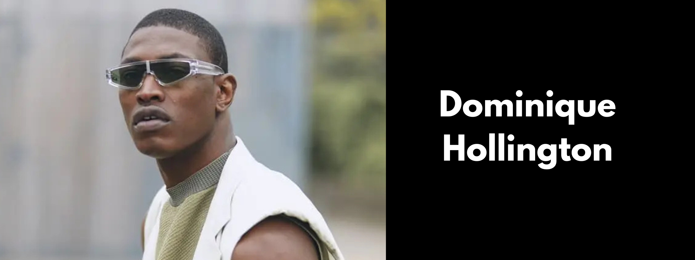 Dominique Hollington Sunglasses