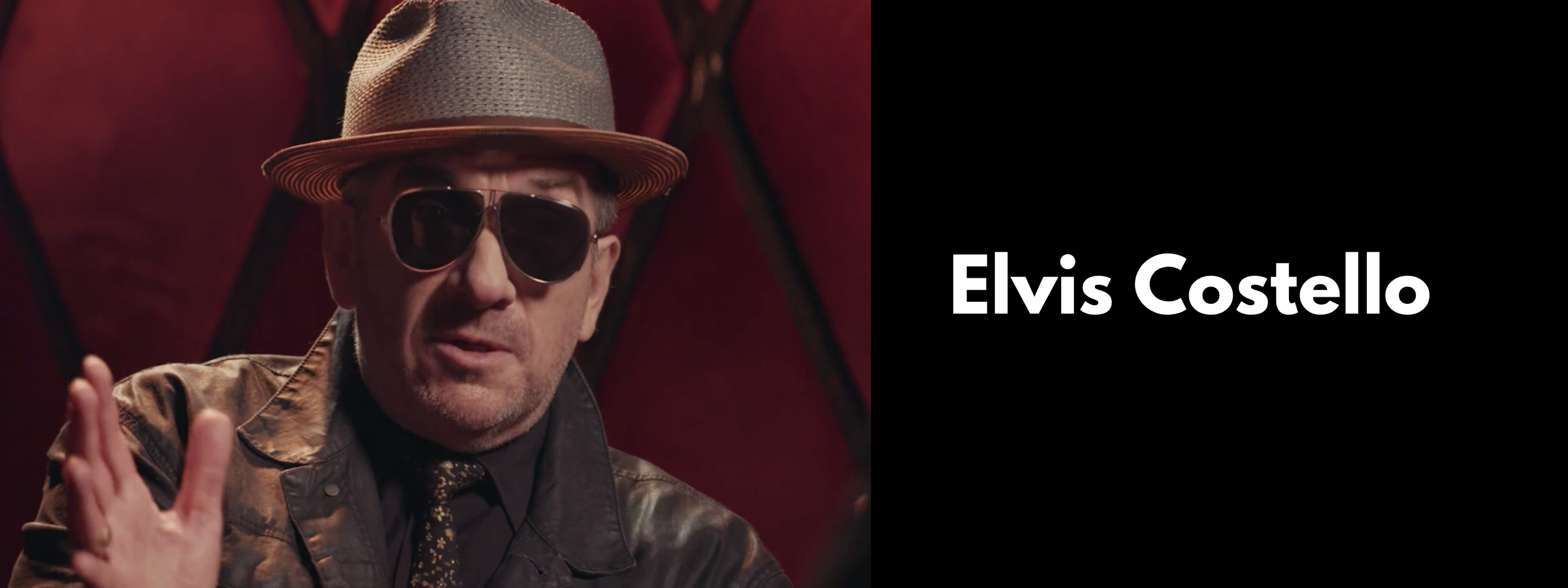 Elvis Costello Sunglasses