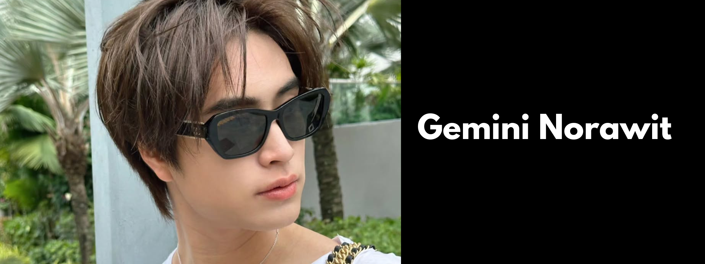 Gemini Norawit Sunglasses