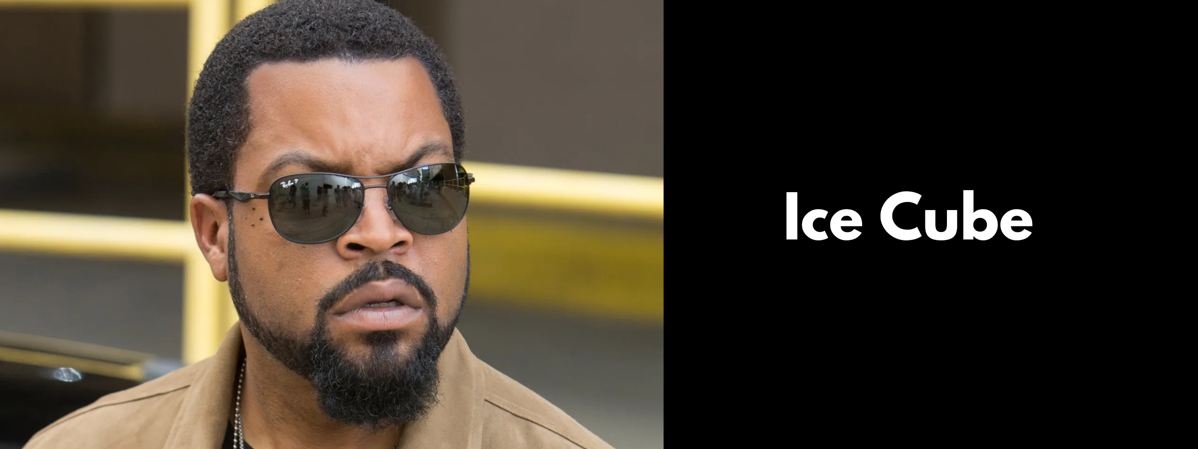 Ice Cube Sunglasses