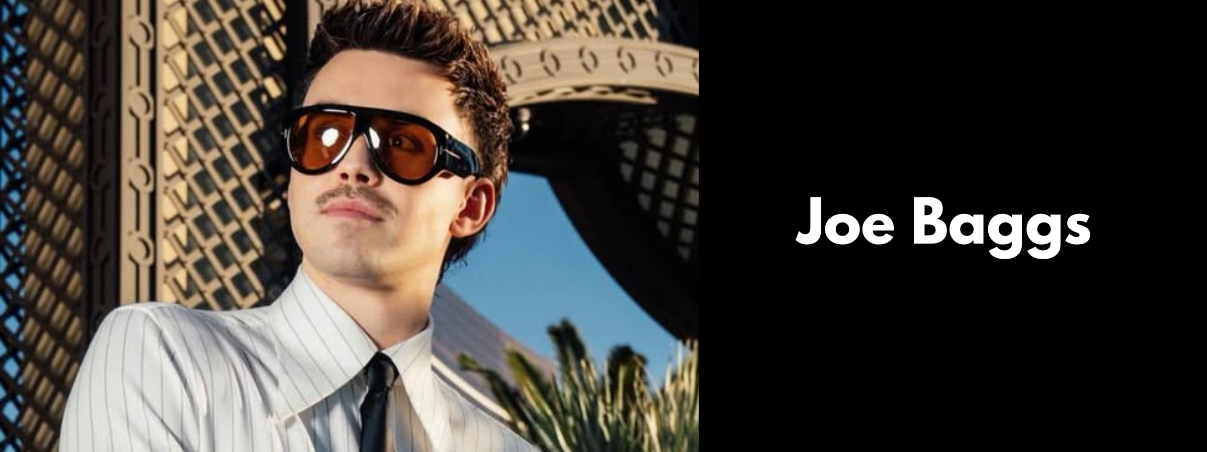 Joe Baggs Sunglasses