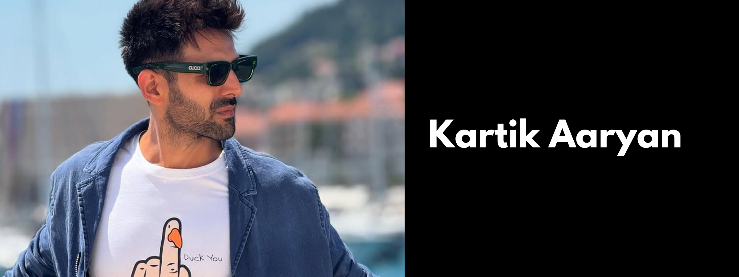 Kartik Aaryan Sunglasses