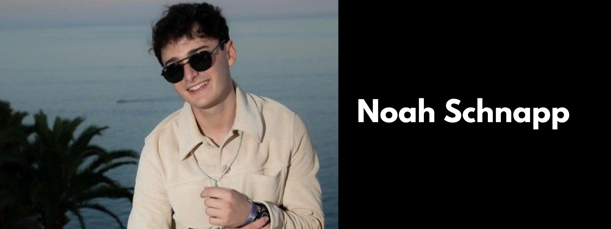 Noah Schnapp Glasses & Sunglasses