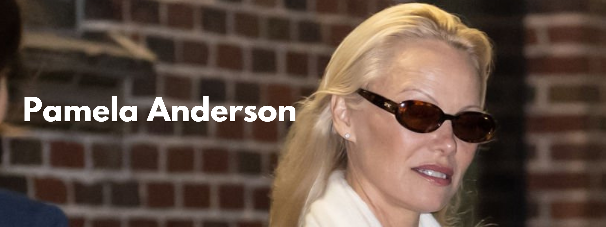 Pamela Anderson Sunglasses