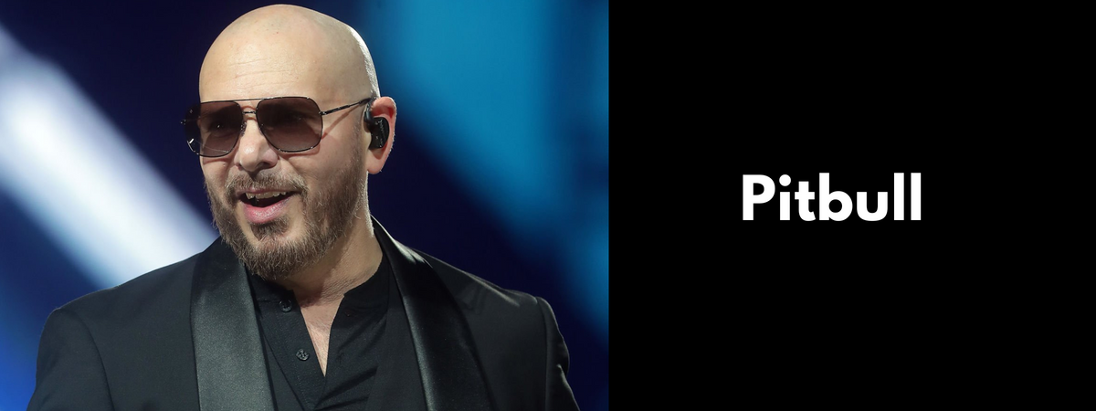 Pitbull Sunglasses