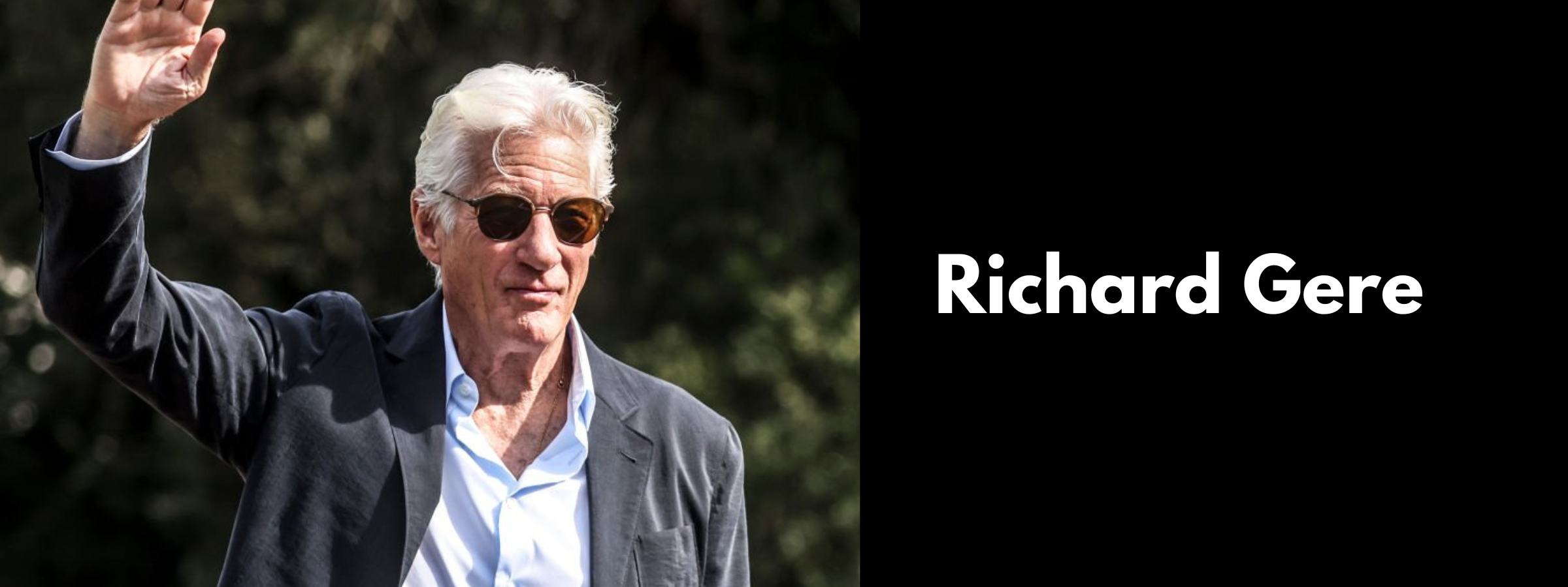 Richard Gere Sunglasses